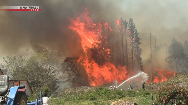 Petugas berupaya memadamkan kebakaran hutan yang melanda kawasan pegunungan di Kota Kitakata, Prefektur Fukushima.