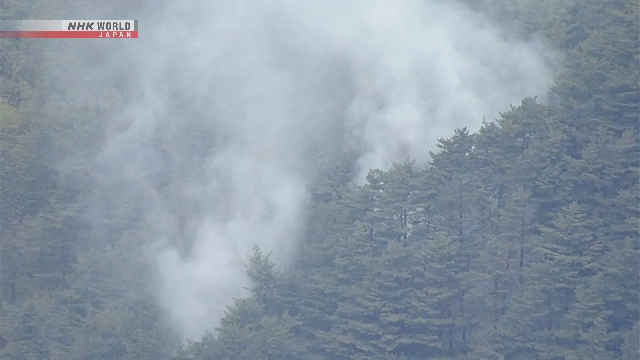 Kondisi hutan di Otsuchi Jepang setelah kebakaran mulai mereda akibat hujan dan upaya pemadaman.