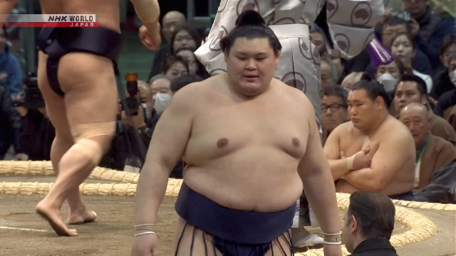 Pegulat Sumo Onosato dan Aonishiki Absen dari Turnamen Mei Akibat Cedera