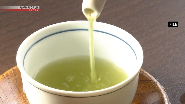 Produk teh hijau Jepang berkualitas tinggi dalam kemasan tradisional yang siap untuk diekspor.