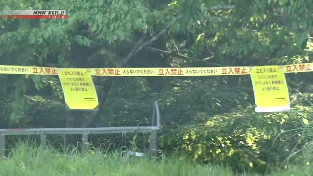 Pemandangan jalur pegunungan di wilayah Okutama, Tokyo Barat, yang menjadi lokasi insiden serangan beruang.