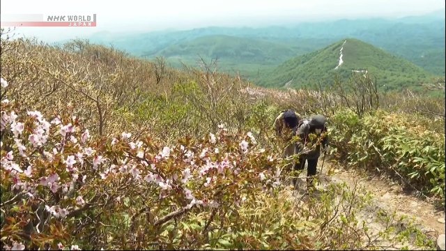 Jalur pendakian Gunung Kurikoma dengan sisa salju dan papan peringatan keamanan di pintu masuk.