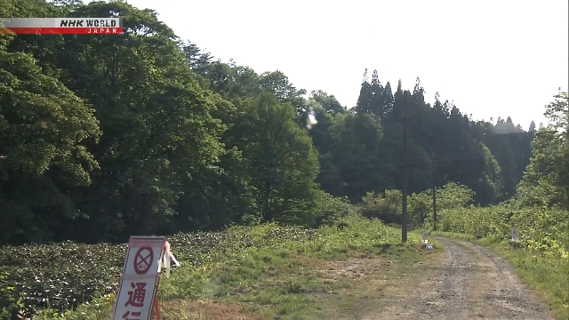 Kawasan pegunungan di Prefektur Iwate, Jepang, lokasi ditemukannya korban yang diduga diserang beruang.