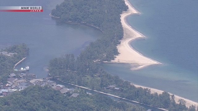 Kawasan wisata pantai Amanohashidate dengan deretan pohon pinus yang ikonik di Kyoto.