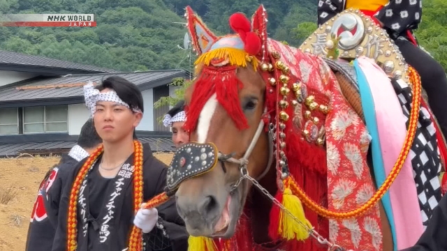 Barisan kuda berhias pelana warna-warni dan lonceng dalam parade festival Chagu Chagu Umakko di Prefektur Iwate.