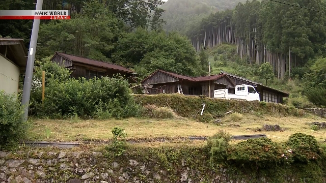 Area pegunungan dan persawahan di pedesaan Jepang yang menjadi lokasi aktivitas beruang liar.