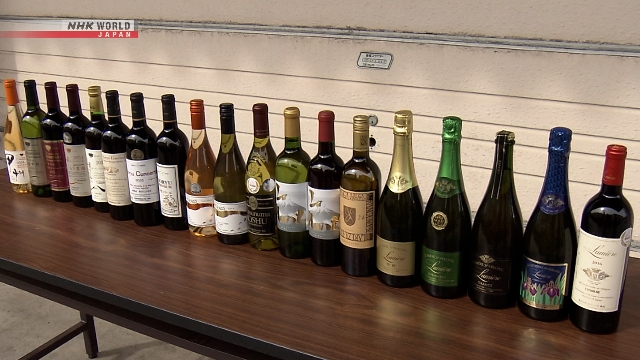 Botol-botol anggur Koshu asal Yamanashi yang sedang disiapkan untuk proses ekspor ke Brasil.