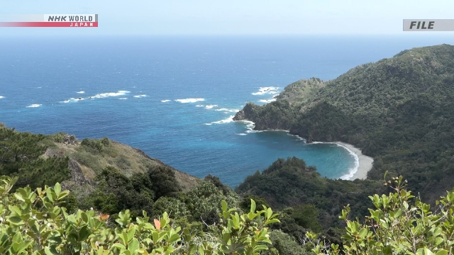 Pemandangan Kepulauan Ogasawara di Tokyo yang menjadi situs Warisan Alam Dunia dan target survei spesies invasif.