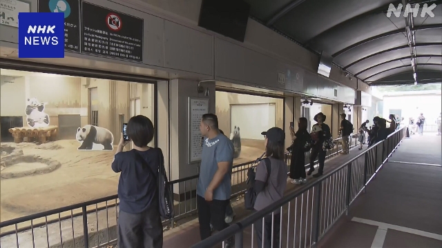 Suasana area kandang panda di Kebun Binatang Ueno Tokyo sebelum dibongkar