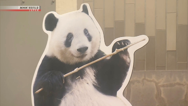 Suasana area kandang panda di Kebun Binatang Ueno Tokyo sebelum dibongkar