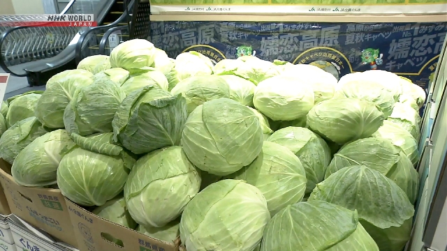 Lahan perkebunan sayur kubis di Jepang yang dipantau menggunakan teknologi citra satelit