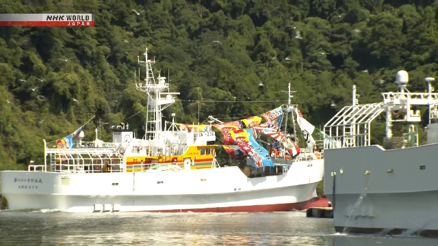 Kapal nelayan bersiap bertolak dari Pelabuhan Perikanan Sakai di Tottori untuk penangkapan kepiting salju merah