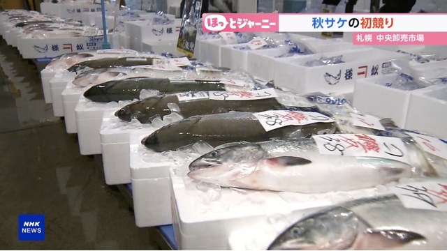 Ikan Salmon Musim Gugur Catat Rekor Harga Tertinggi dalam Lelang di Jepang Utara