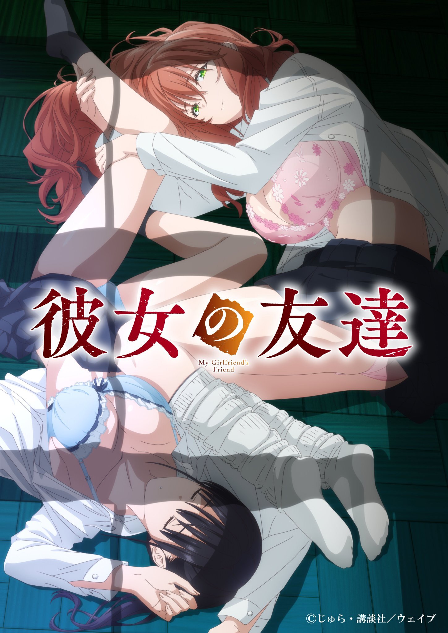 Visual utama ketiga untuk adaptasi anime Kanojo no Tomodachi